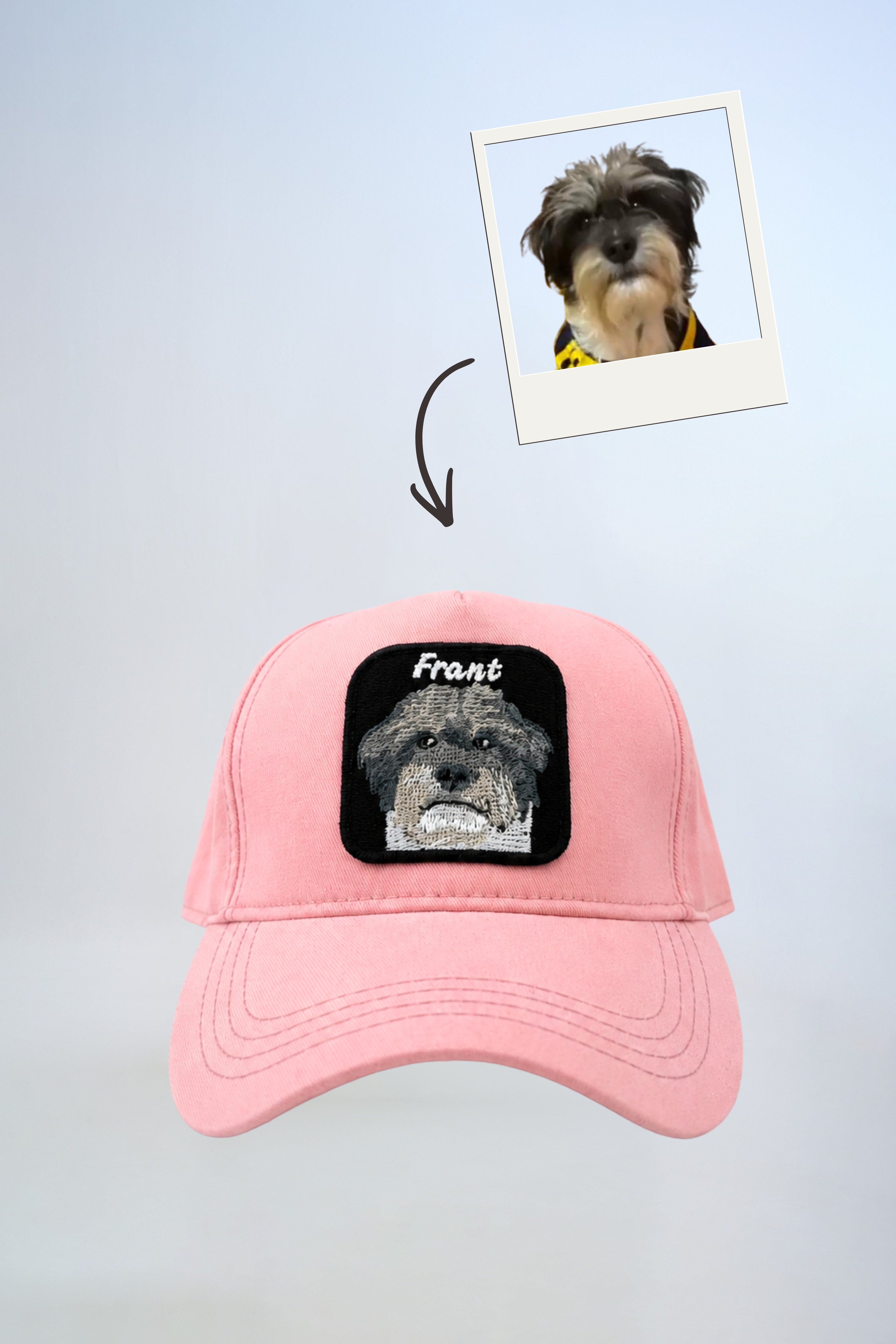 Pet Portre Nakışlı Pembe Cap