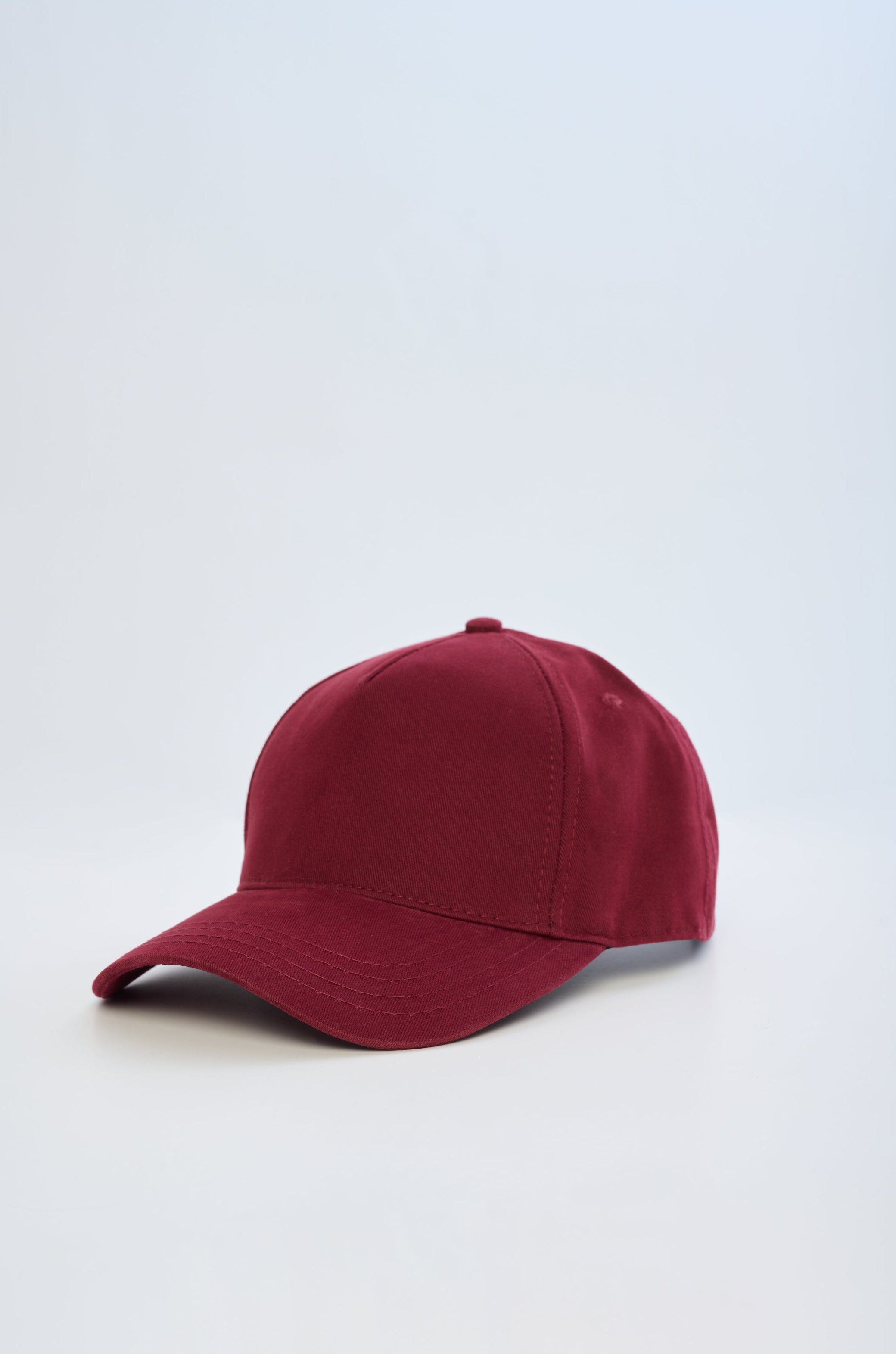 Pet Portre Nakışlı Bordo Cap Şapka