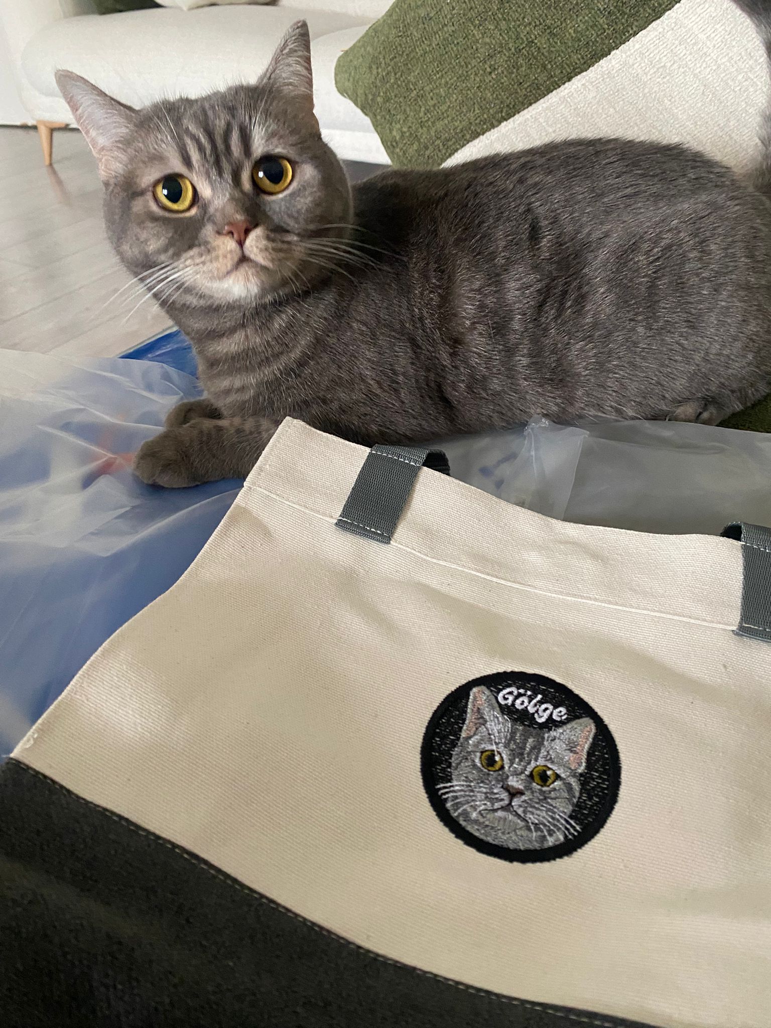 Pet Portre Nakışlı Gri Mini Kanvas Çanta