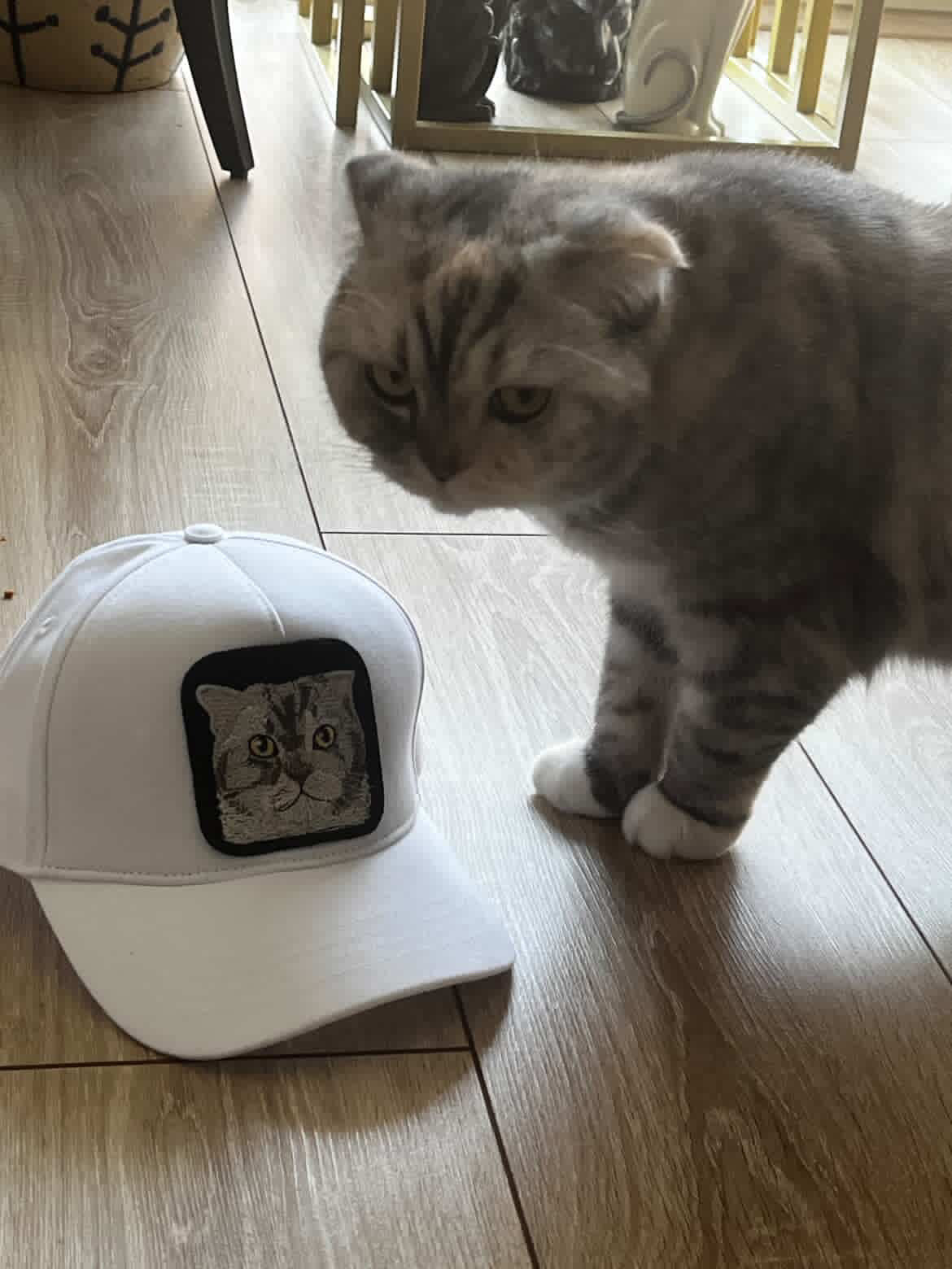 Pet Portre Nakışlı Beyaz Cap
