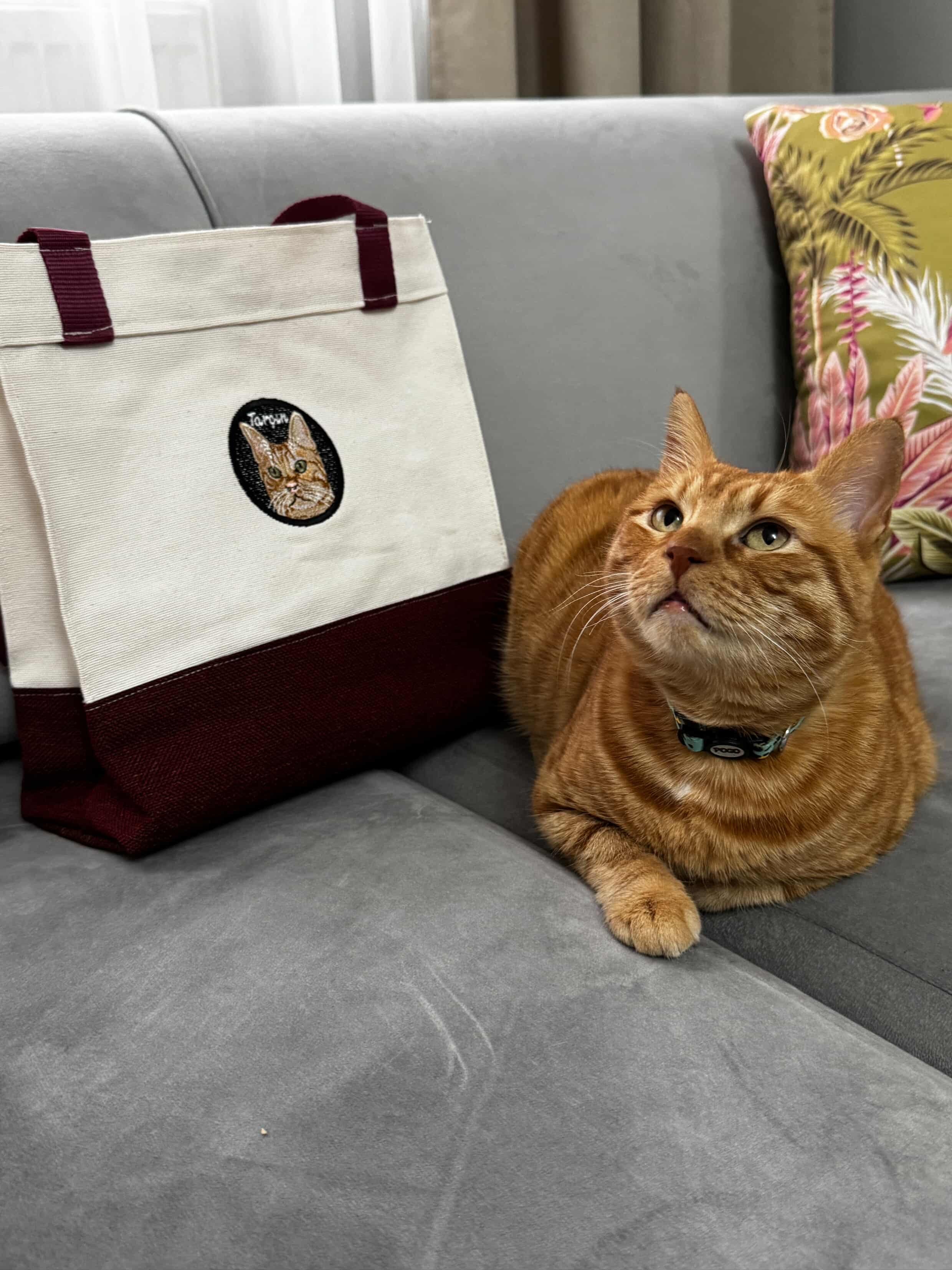 Pet Portre Nakışlı Kahverengi Mini Kanvas Çanta