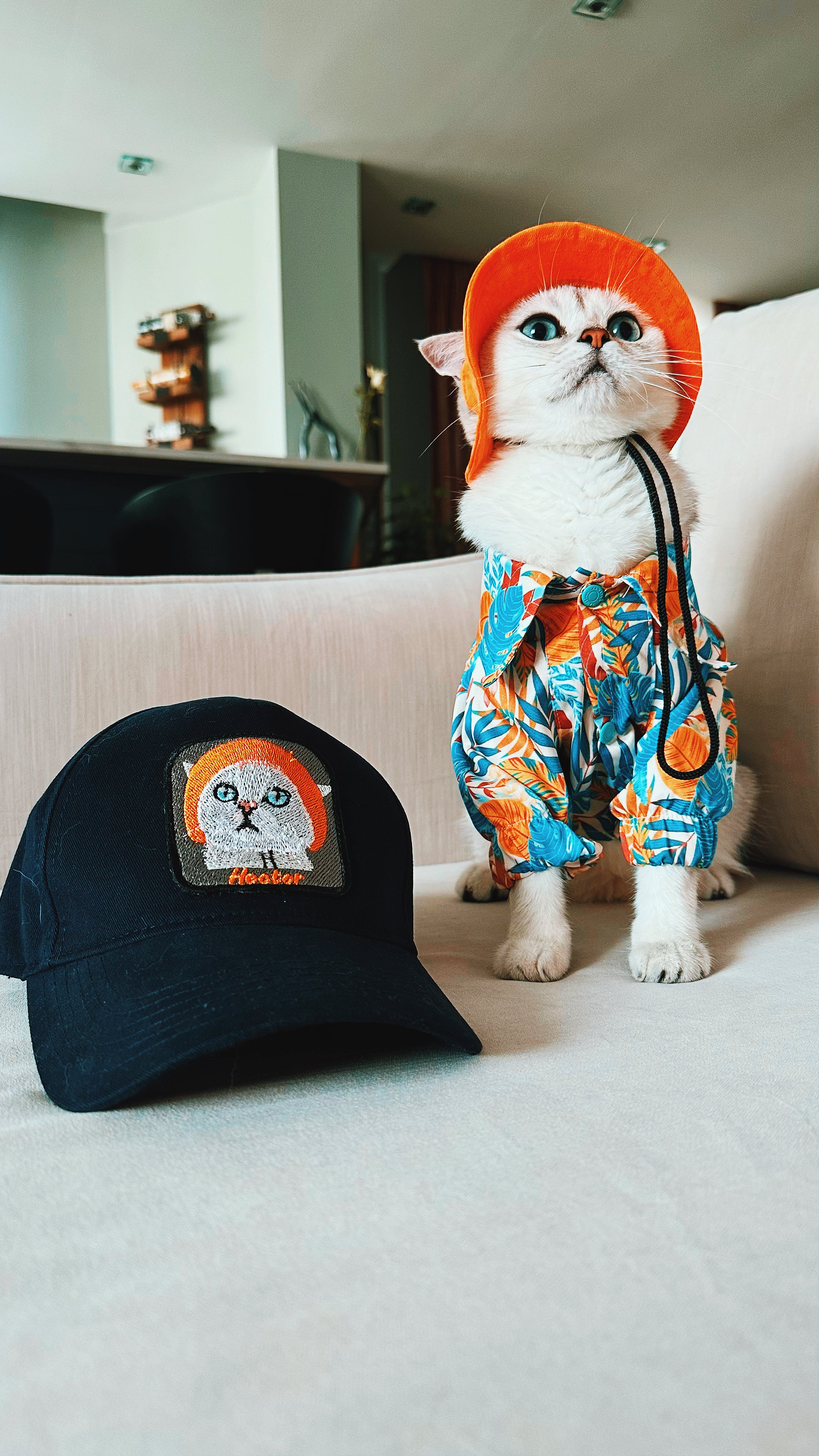 Pet Portre Nakışlı Lacivert Cap