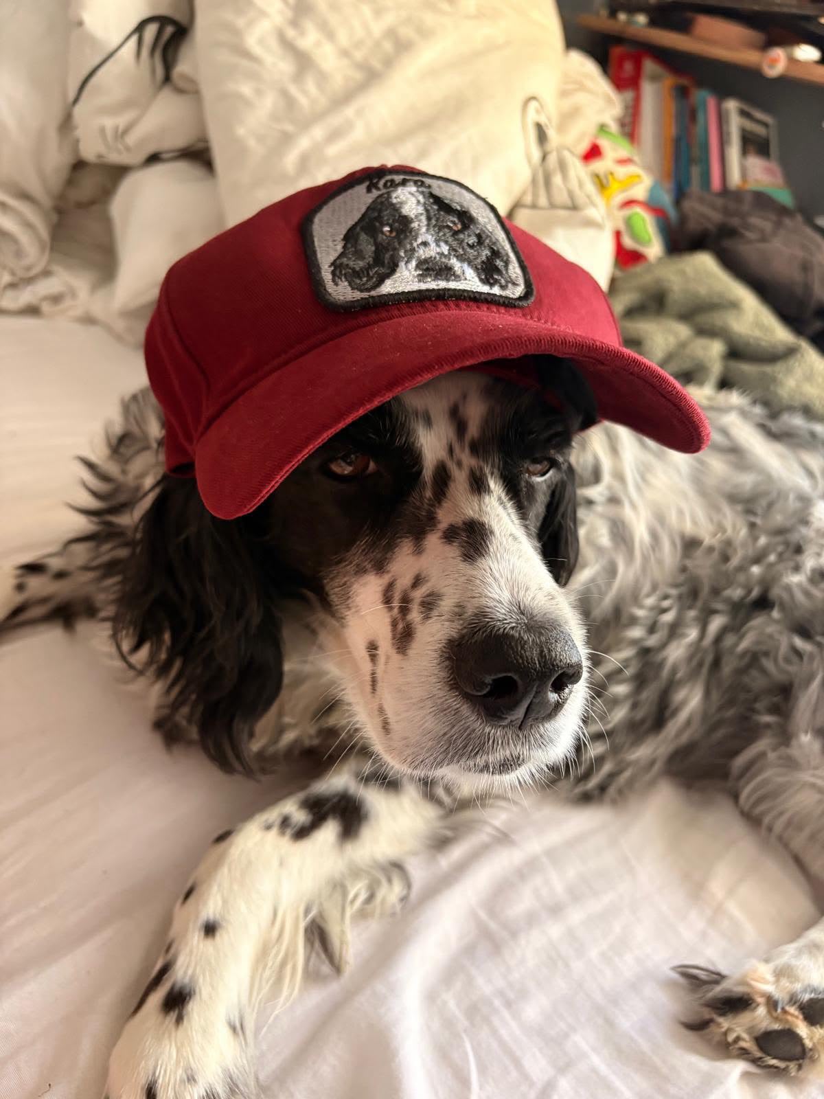 Pet Portre Nakışlı Bordo Cap