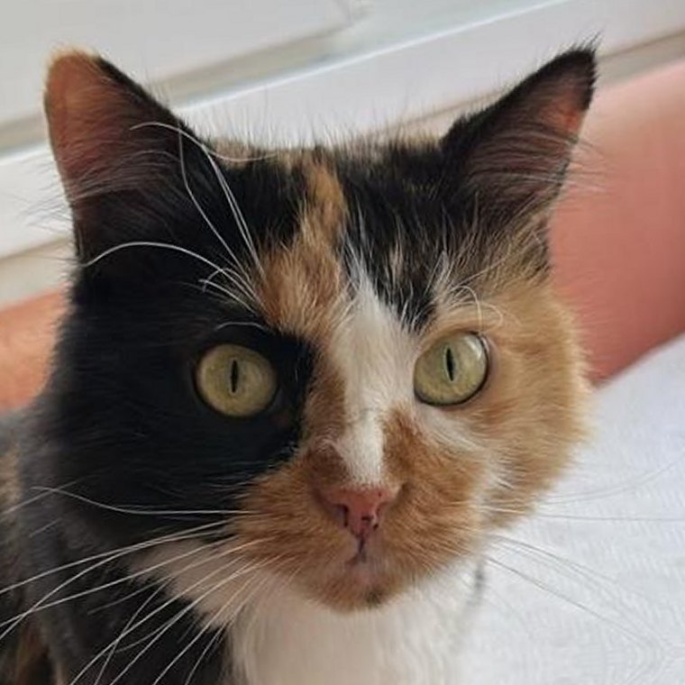 Müşterinin gönderdiği fotoğraf