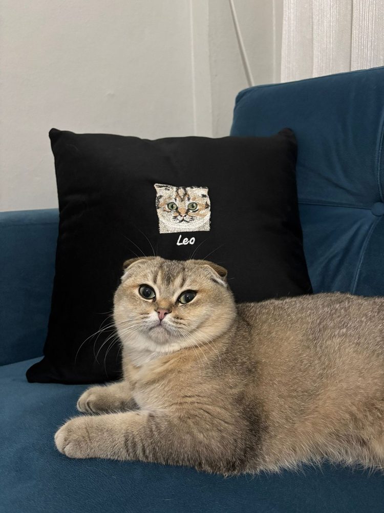 Leo ve Hibery Kırlent