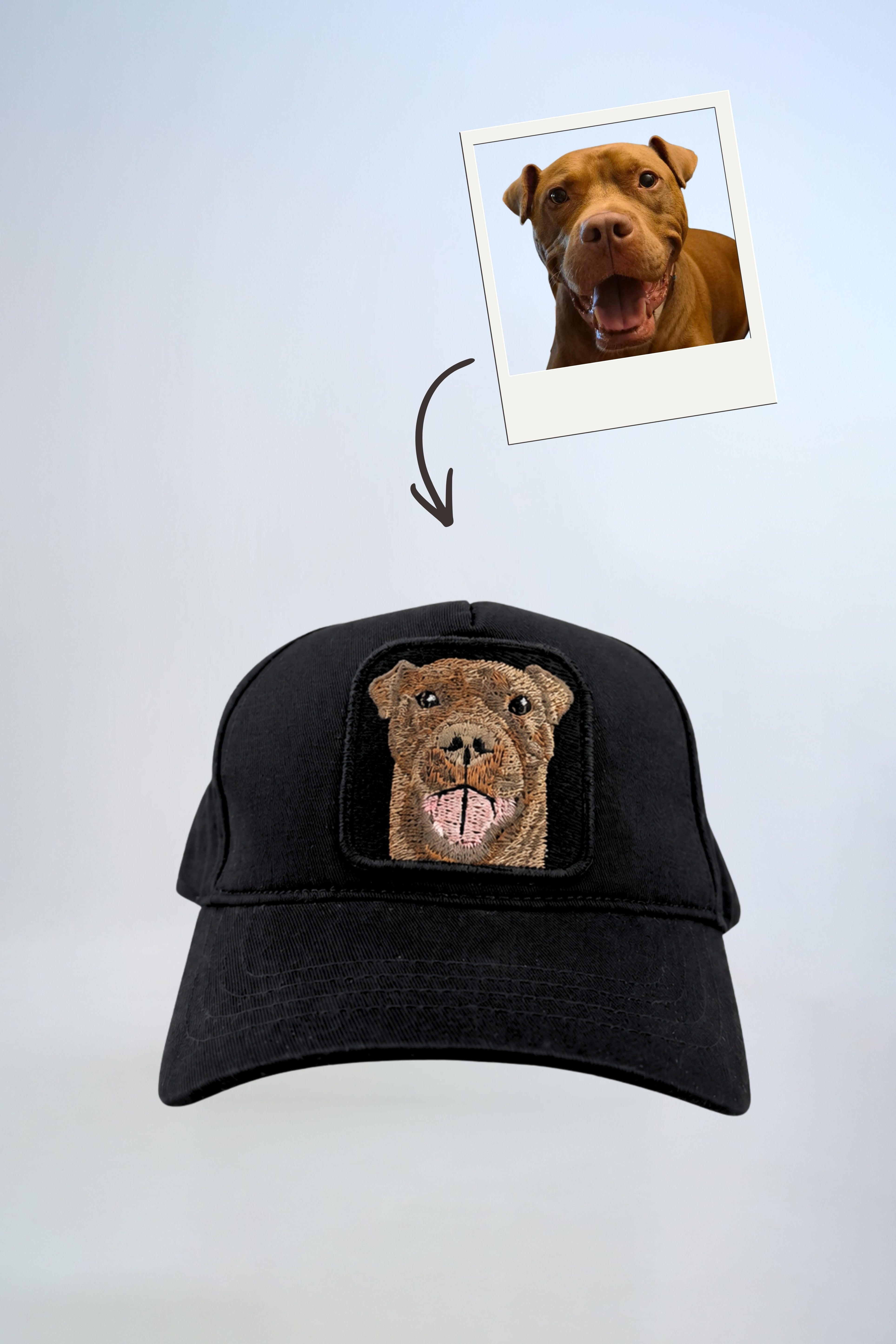 Pet Portre Nakışlı Siyah Cap