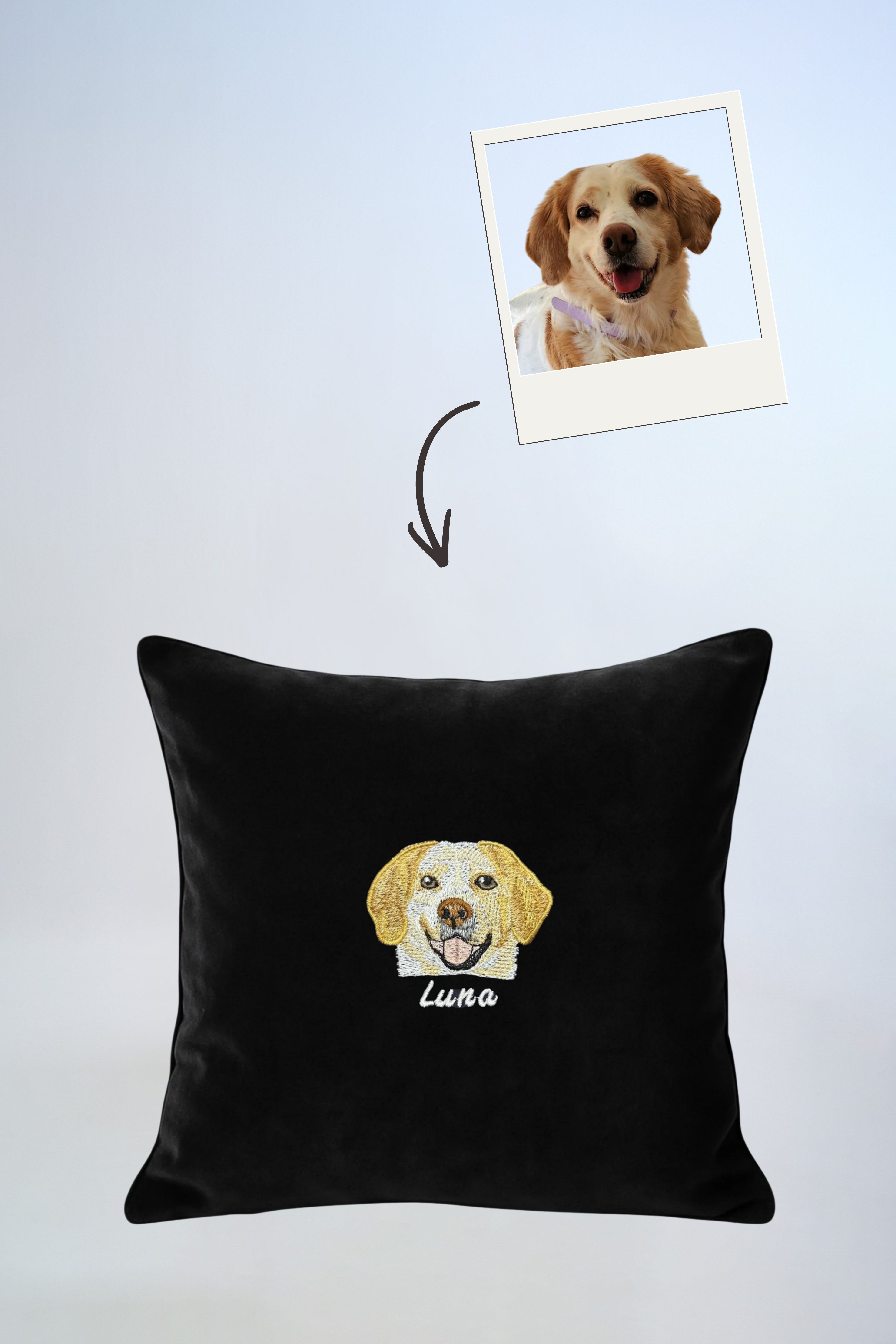 Pet Portre Nakışlı Siyah Kadife Kırlent