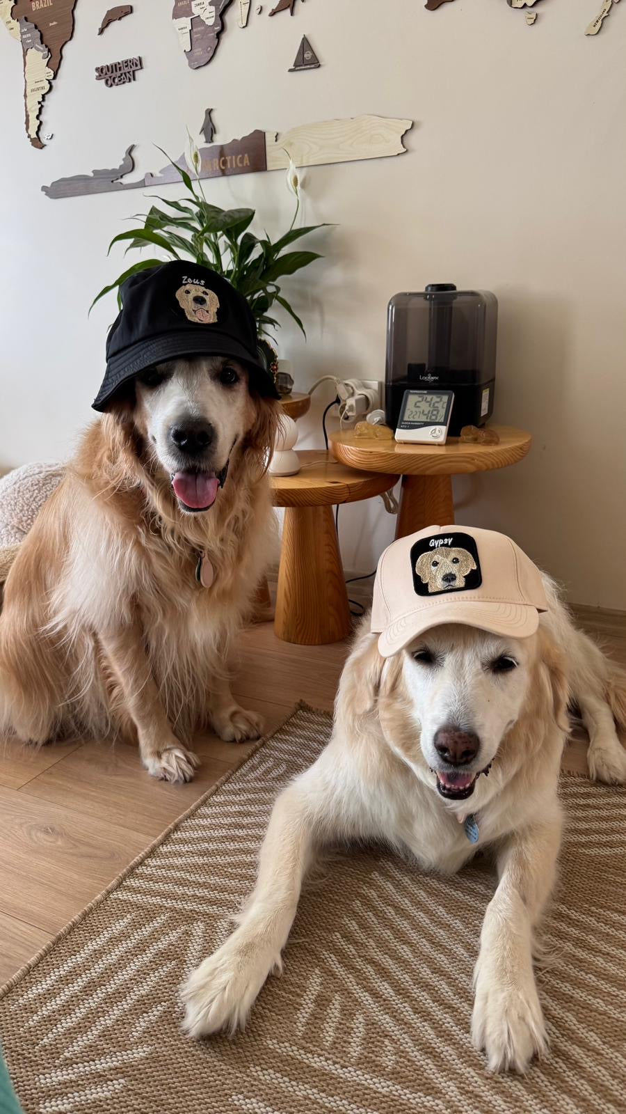 Pet Portre Nakışlı Krem Cap