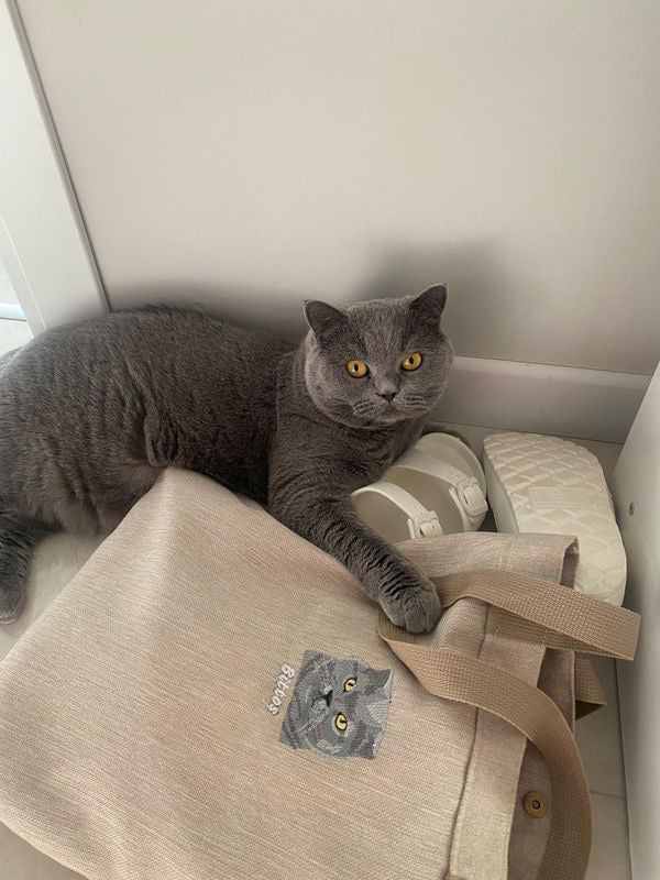 Pet Portre Nakışlı Bej Keten Çanta