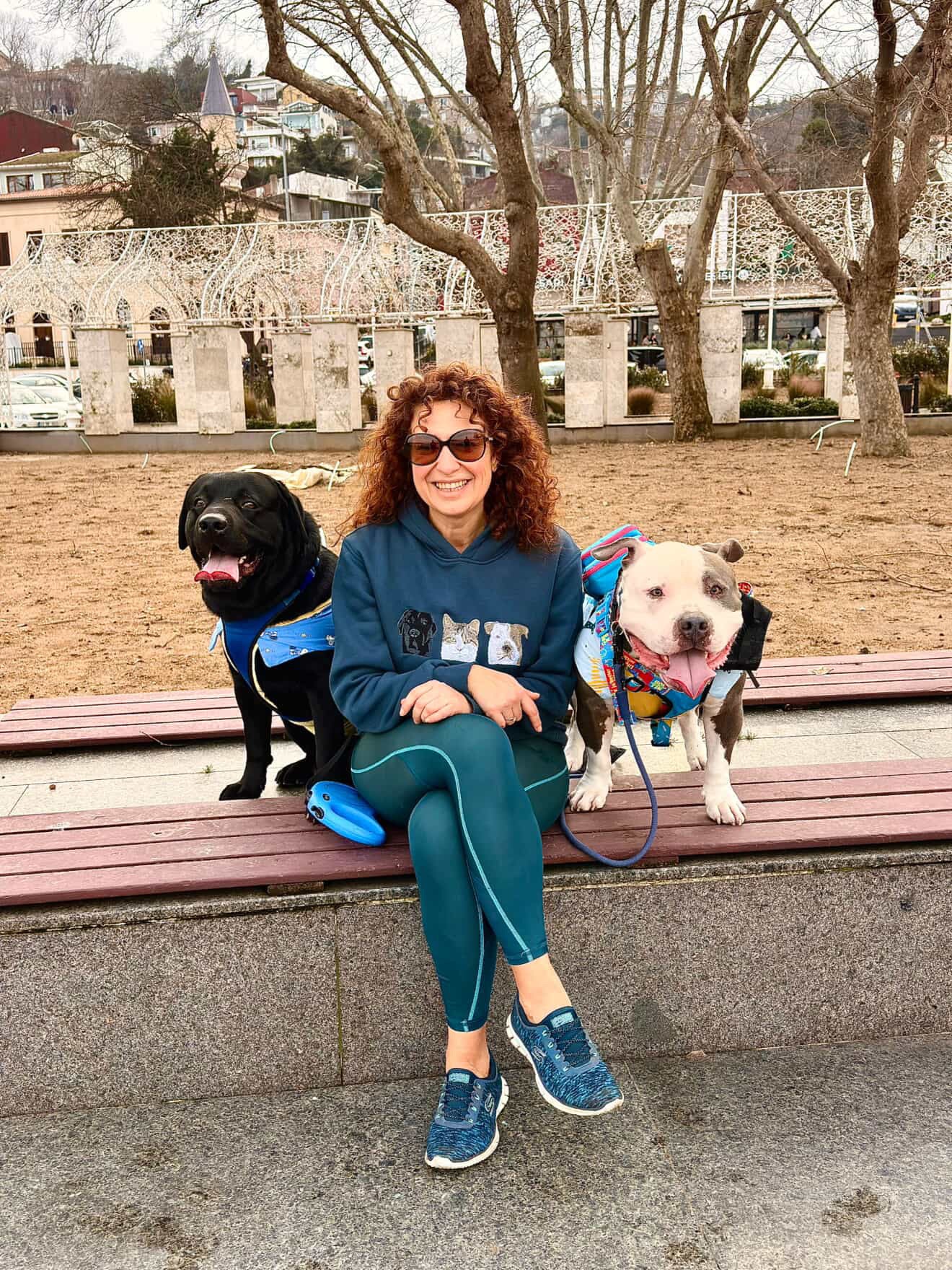 Pet Portre Nakışlı Mavi Hoodie