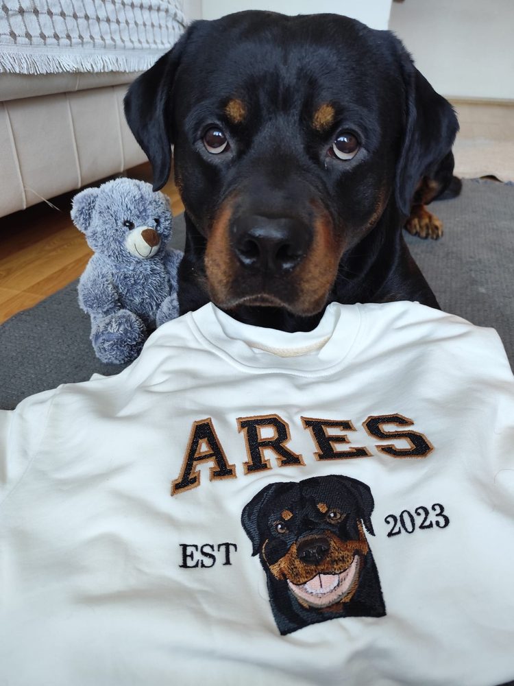 Ares ve Hibery Kolej sweatshirt