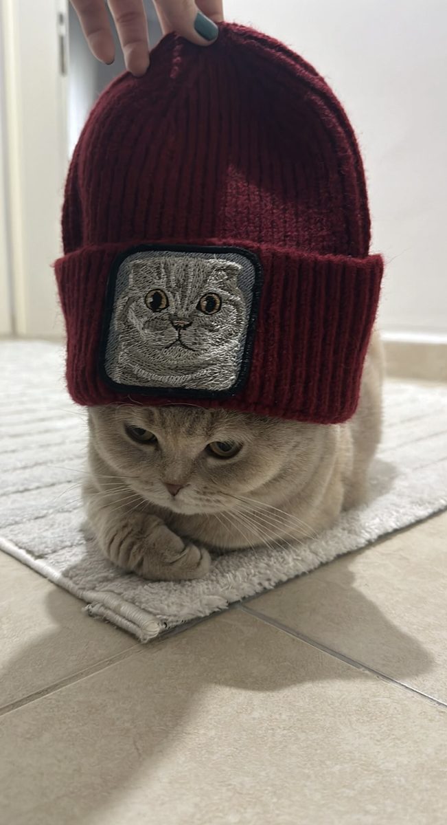 Müşterimizin fotoğrafı: Bere